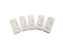 We are experts in the detection of various forms of tumors and cancers